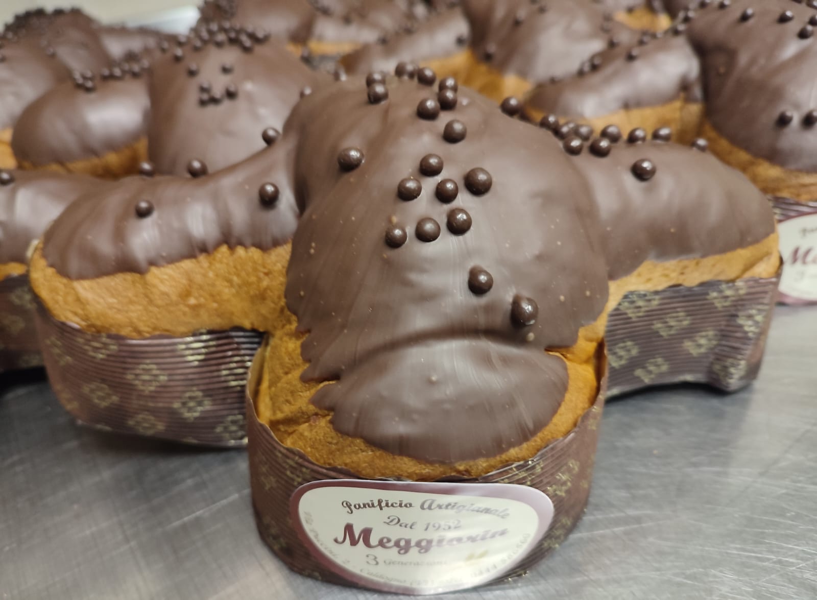 colomba-cioccolato